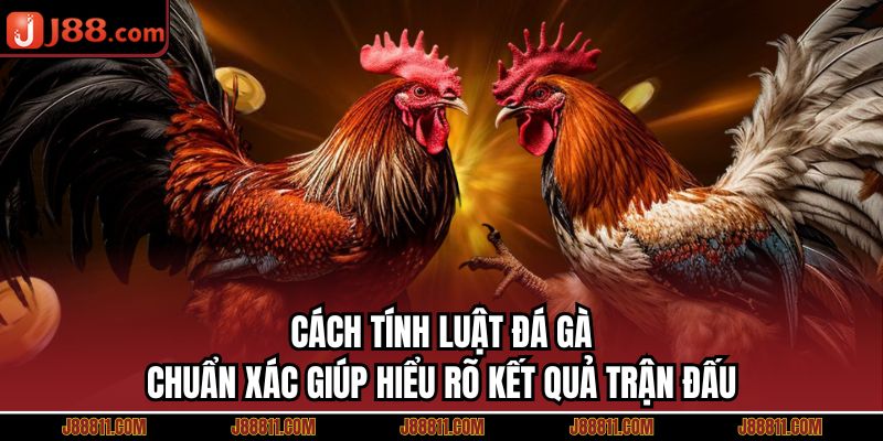 Cách Tính Luật Đá Gà Chuẩn Xác Giúp Hiểu Rõ Kết Quả Trận Đấu