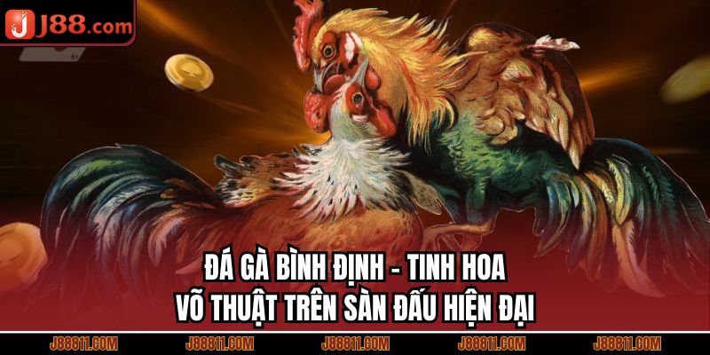 Đá Gà Bình Định - Tinh Hoa Võ Thuật Trên Sàn Đấu Hiện Đại