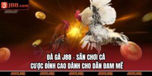 Đá Gà J88 - Sân Chơi Cá Cược Đỉnh Cao Dành Cho Dân Đam Mê