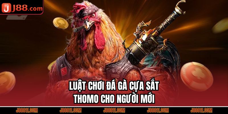 Luật chơi đá gà cựa sắt thomo cho người mới