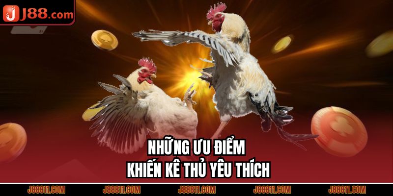 Những ưu điểm khiến kê thủ yêu thích